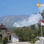 Hutan Pinus Lereng Lawu di Jabung Magetan Terbakar, Petugas Berjibaku Cegah Api Meluas