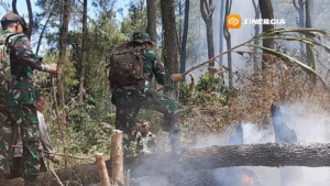 Kebakaran Hutan Lereng Lawu Magetan Belum Padam, Api Bergerak ke Arah Ngawi