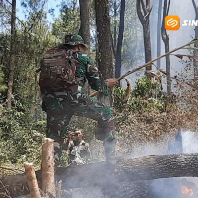 Kebakaran Hutan Lereng Lawu Magetan Belum Padam, Api Bergerak ke Arah Ngawi