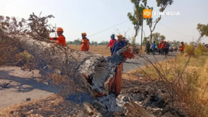 Pohon Tumbang Tewaskan Pemotor di Madiun Diduga Dibakar, Polisi Buka Peluang Pidana