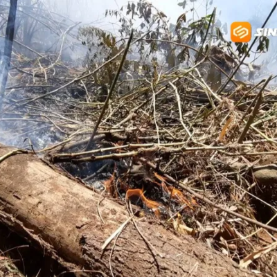 Kebakaran Hutan Pinus Lereng Lawu Magetan, Api Bergerak ke Ngawi akibat Angin Kencang