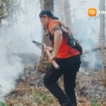 Titik Api Baru Muncul di Lereng Lawu Magetan, 8 Hektare Hutan Pinus Terbakar