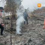 Kebakaran Lereng Wilis Dekati Perbatasan Madiun – Nganjuk, 5 Hektare Hutan Terbakar