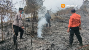 Kebakaran Lereng Wilis Dekati Perbatasan Madiun – Nganjuk, 5 Hektare Hutan Terbakar