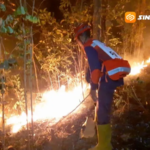 Hutan Jati di Gunung Bancak Magetan Terbakar, Api Sempat Mendekati Permukiman