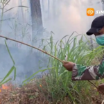 Kebakaran Hutan Pinus Gunung Butak Ngawi Meluas hingga 40 Hektare, Petugas Kesulitan Padamkan Api