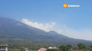 Kebakaran Lereng Lawu Ancam Satwa Liar, Anak Rusa Ditemukan Mati Terjebak Api