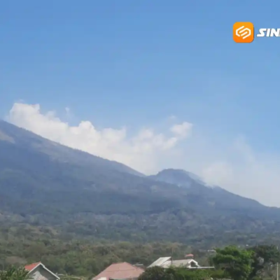 Kebakaran Lereng Lawu Ancam Satwa Liar, Anak Rusa Ditemukan Mati Terjebak Api