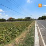 Pemkab Madiun Siapkan Rp5 Miliar untuk Perluasan Kawasan Delta di Caruban