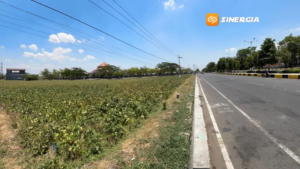 Pemkab Madiun Siapkan Rp5 Miliar untuk Perluasan Kawasan Delta di Caruban