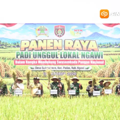 Bikin Petani Penasaran! Varietas Padi Baru di Ngawi Hasilkan 10,6 Ton per Hektar