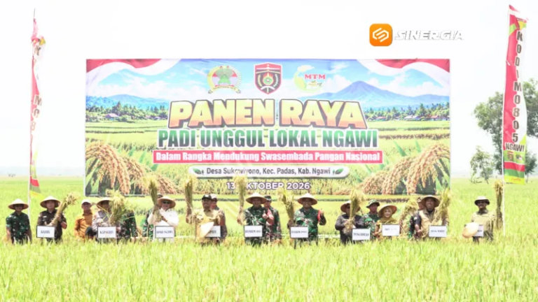 Bikin Petani Penasaran! Varietas Padi Baru di Ngawi Hasilkan 10,6 Ton per Hektar