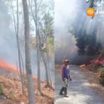 Kebakaran Hutan Gunung Butak Ngawi Sepekan Belum Padam, Api Mendekati Permukiman