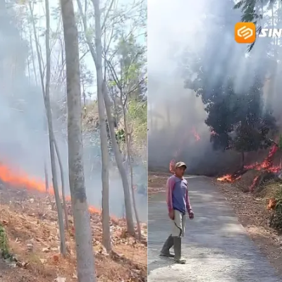 Kebakaran Hutan Gunung Butak Ngawi Sepekan Belum Padam, Api Mendekati Permukiman