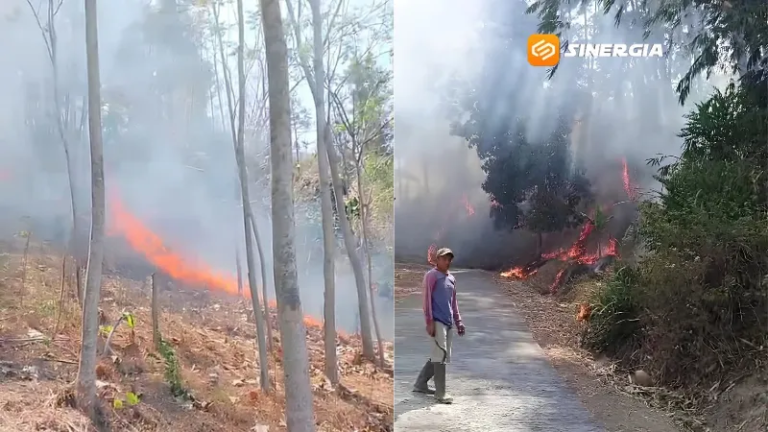 Kebakaran Hutan Gunung Butak Ngawi Sepekan Belum Padam, Api Mendekati Permukiman