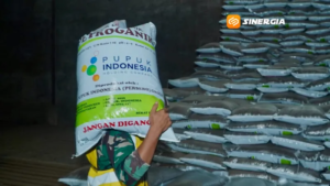 Pupuk Indonesia Dorong Petani di Madiun Gunakan Sistem Pemupukan Berimbang
