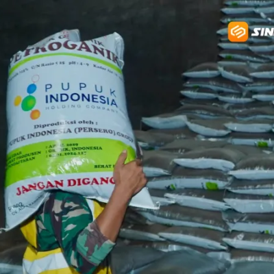 Pupuk Indonesia Dorong Petani di Madiun Gunakan Sistem Pemupukan Berimbang