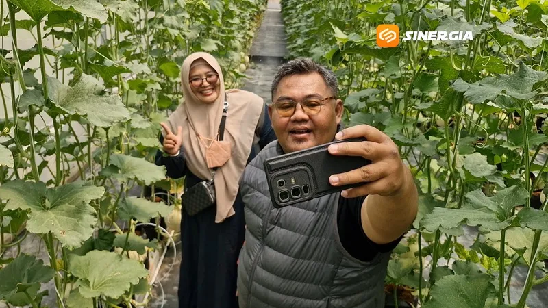 Image Not Found