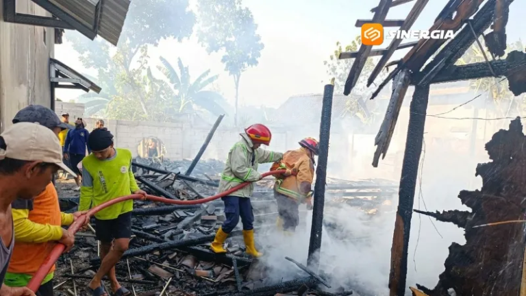 Bara Dapur Picu Kebakaran Rumah di Saradan Madiun, Dua Kambing Ikut Terbakar!